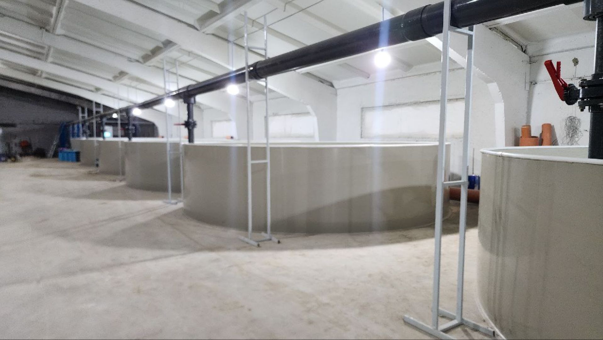 Луховицы #Подмосковье #Аквакультура #Осетр , СельскоеХозяйствоПодмосковья #НовыеРабочиеМеста #АгроТуризм,