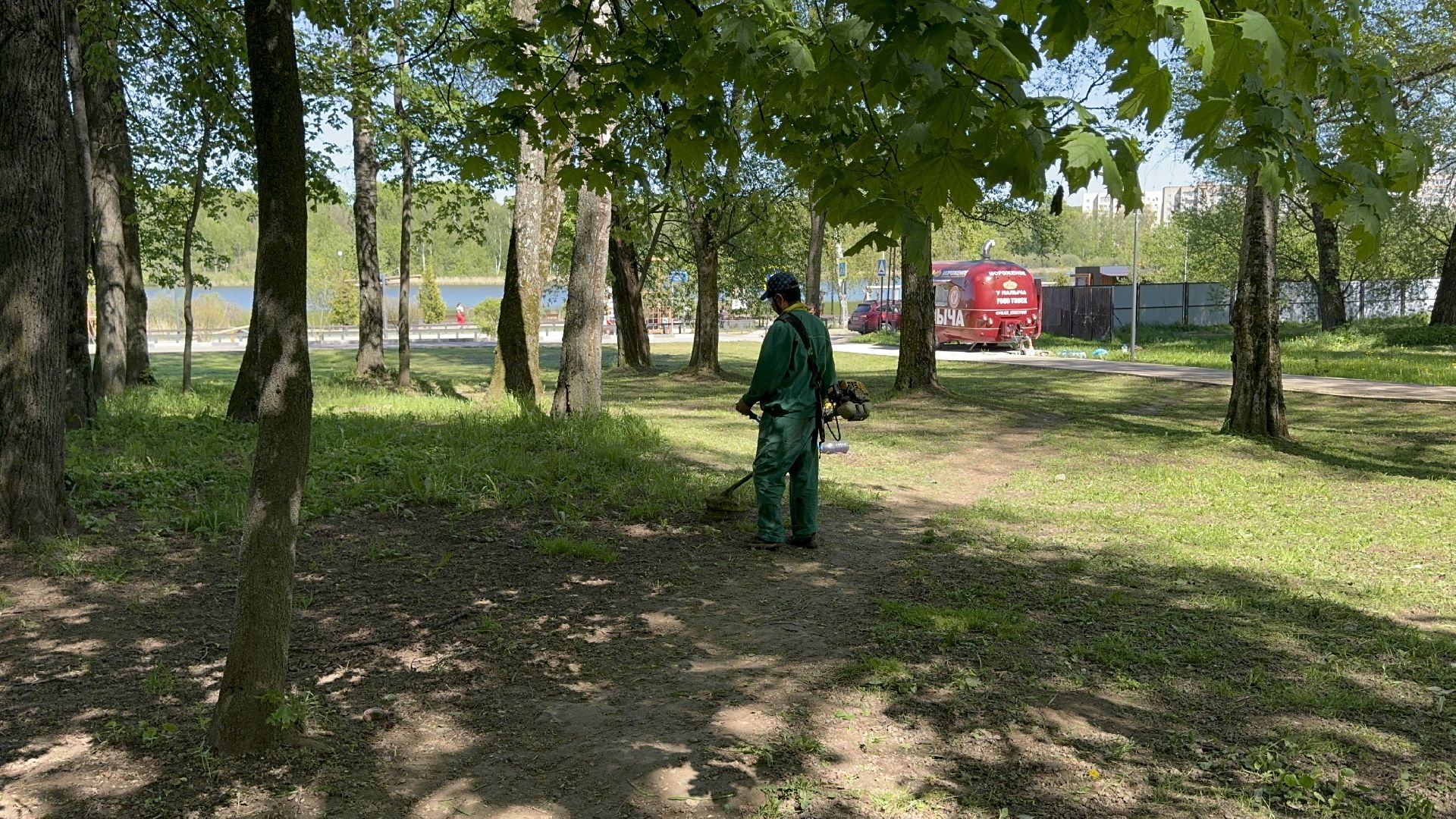 солнечногорск, летний сезон, порядок, цветы, жители,