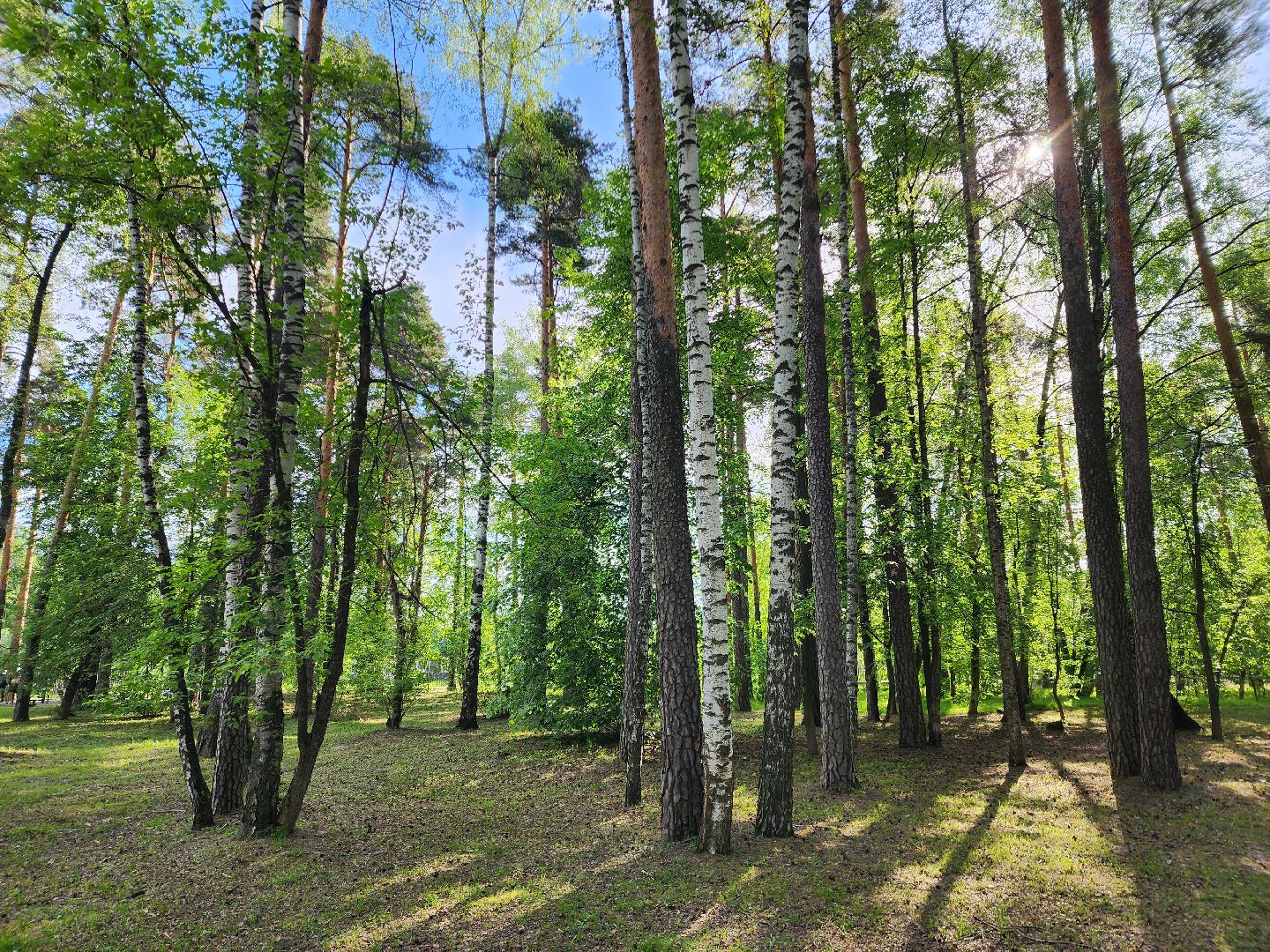 шатурская больница, медицина подмосковья, сезон клещей,