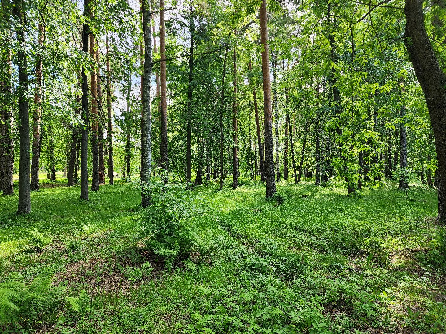 шатурская больница, медицина подмосковья, сезон клещей,
