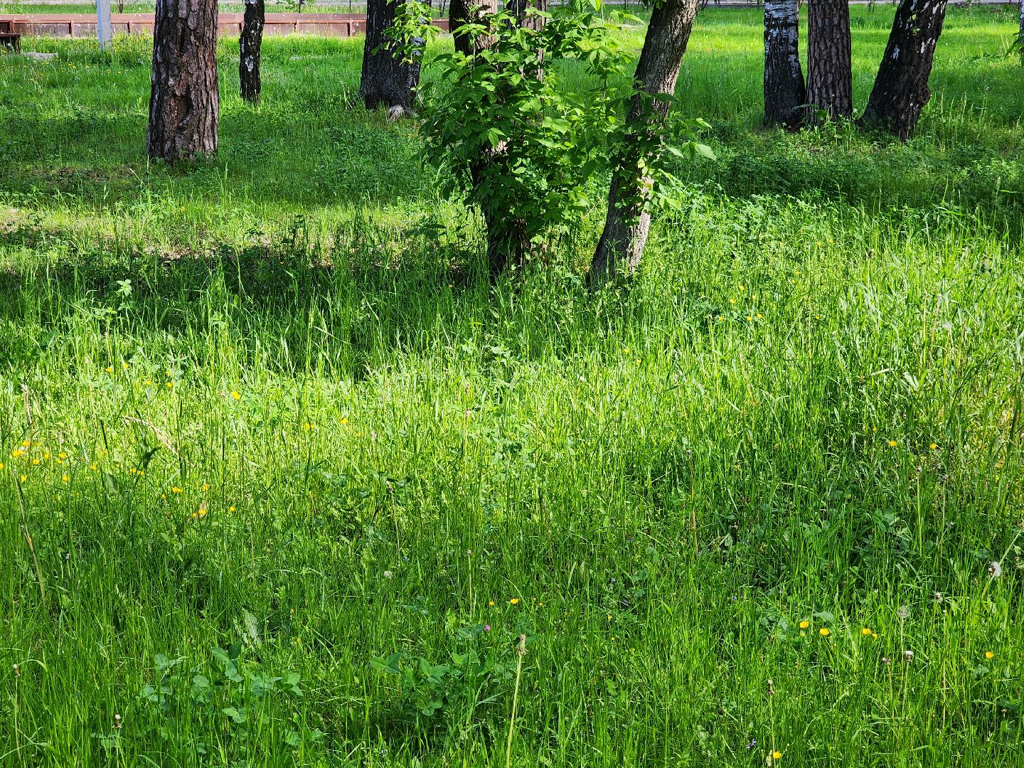 шатурская больница, медицина подмосковья, сезон клещей,
