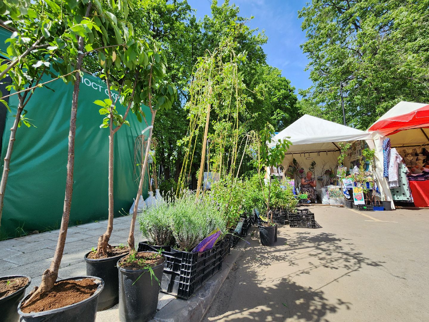 мытищи, ярмарка,