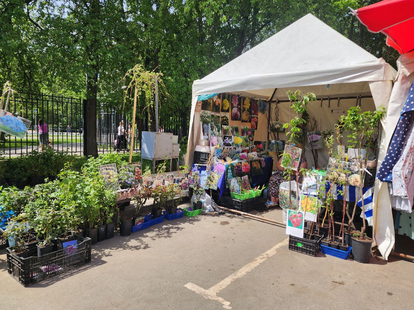 мытищи, ярмарка,