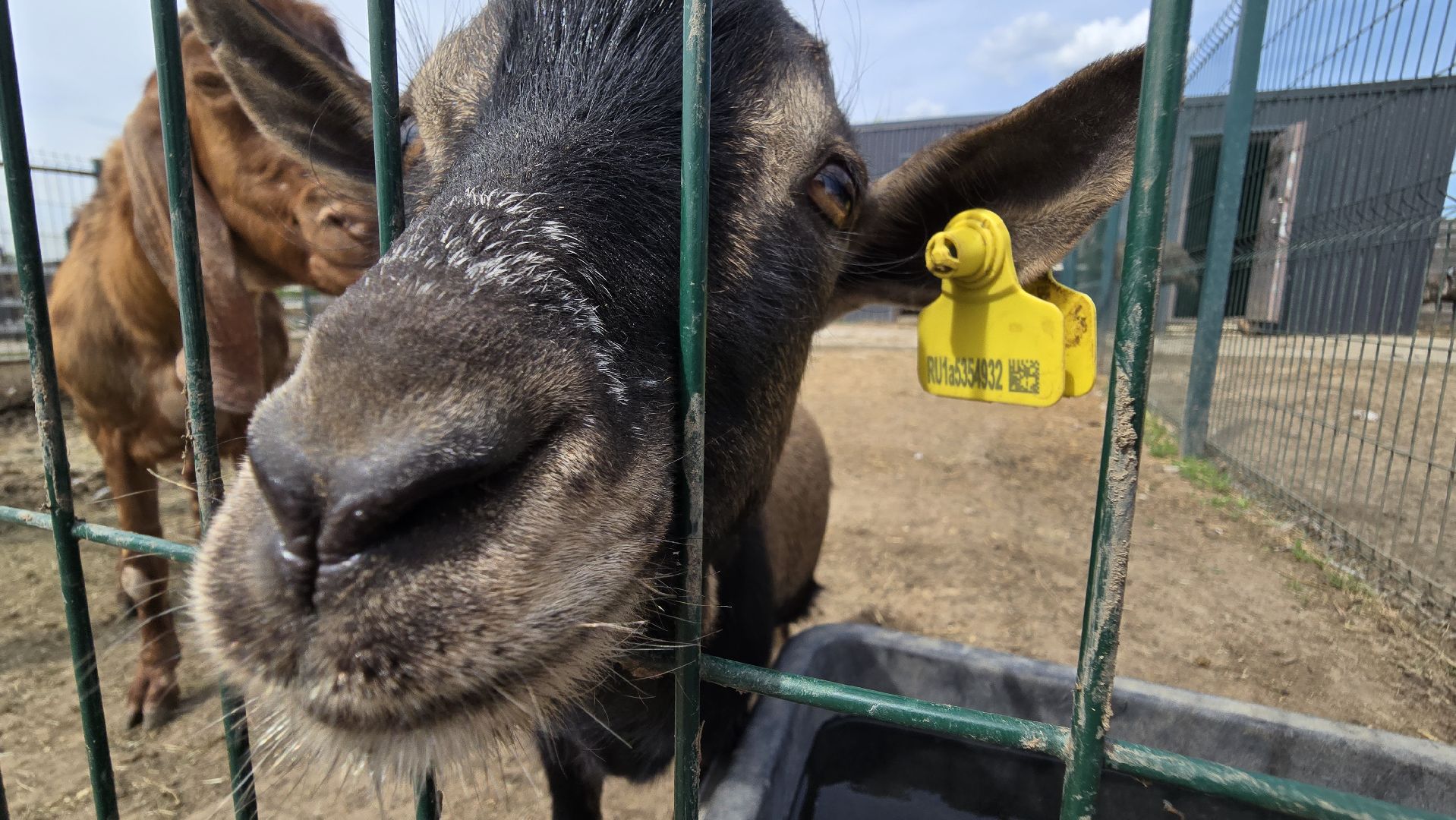 Коломна, экотуризм, крокодиловая ферма,экзотические животные,