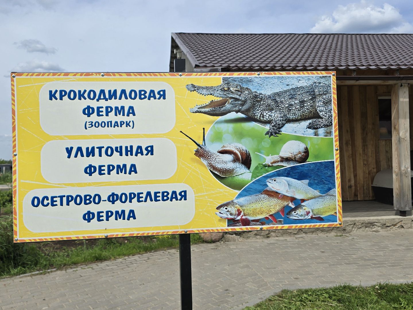 Коломна, экотуризм, крокодиловая ферма,экзотические животные,