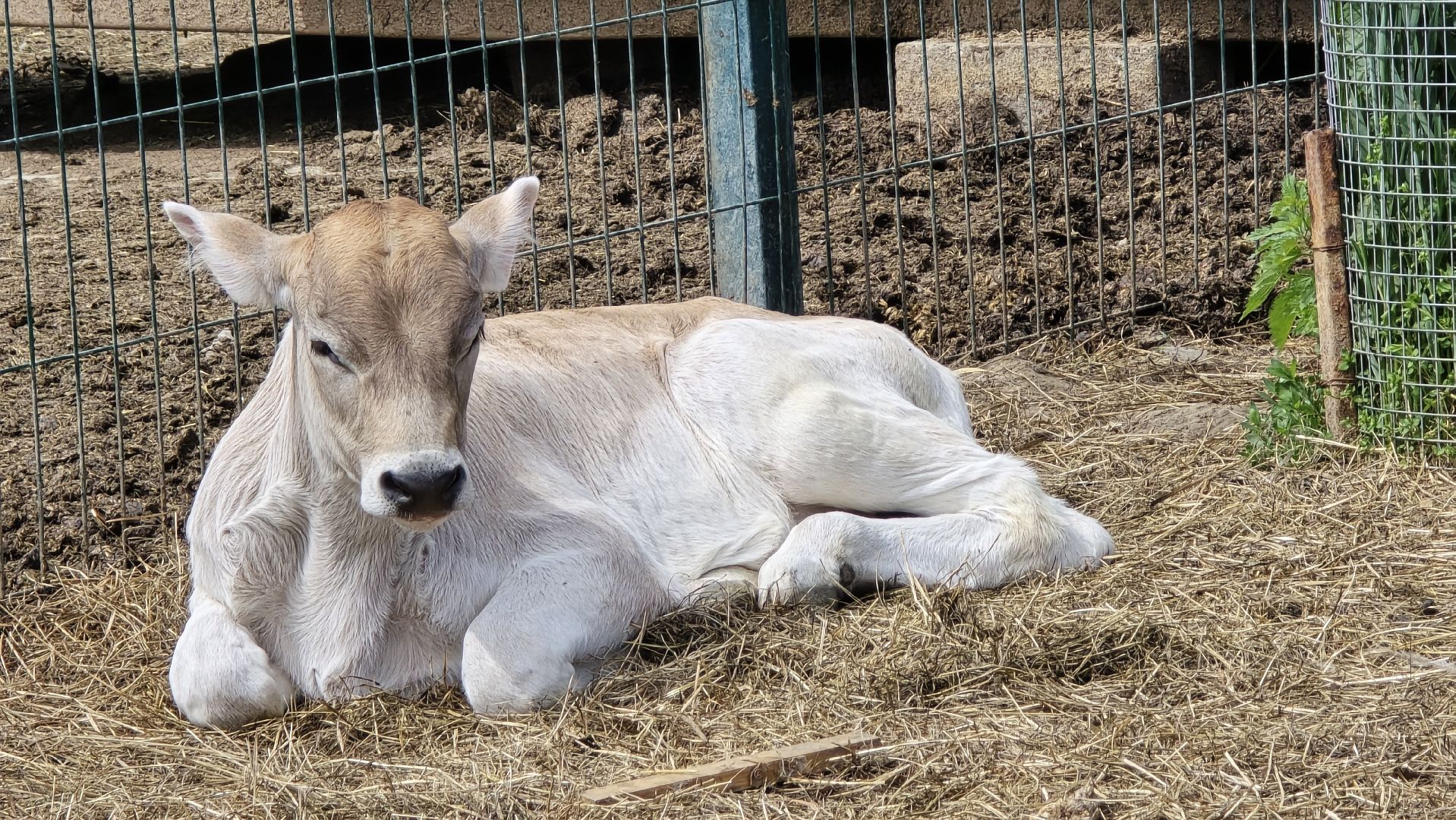 Коломна, экотуризм, крокодиловая ферма,экзотические животные,