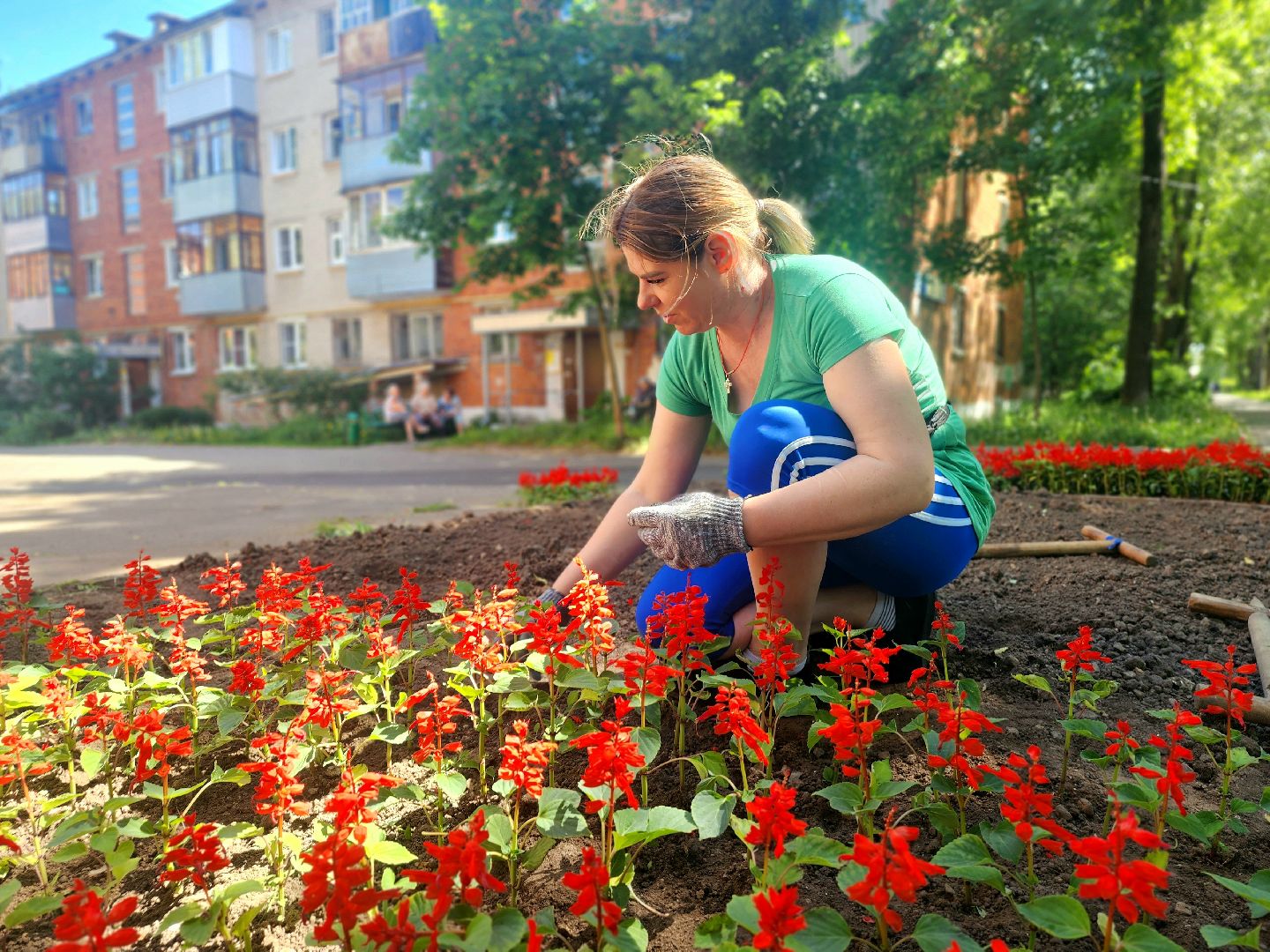 пущино, серпухов, благоустройство, клумбы,