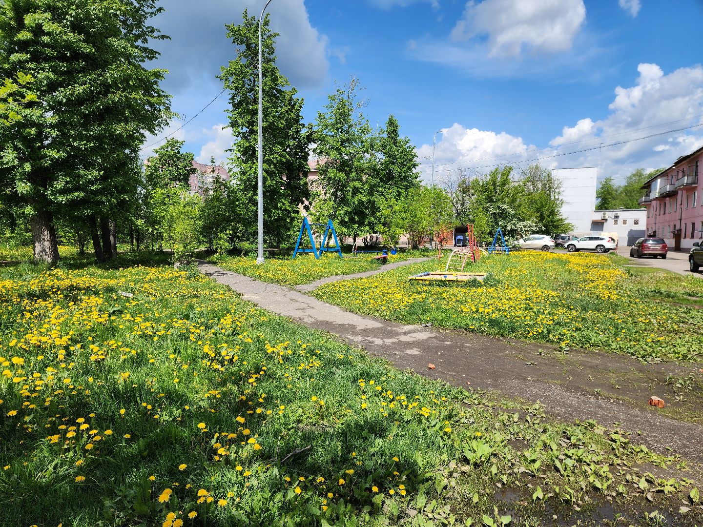 электросталь, голосование, благоустройство, сквер, жители,
