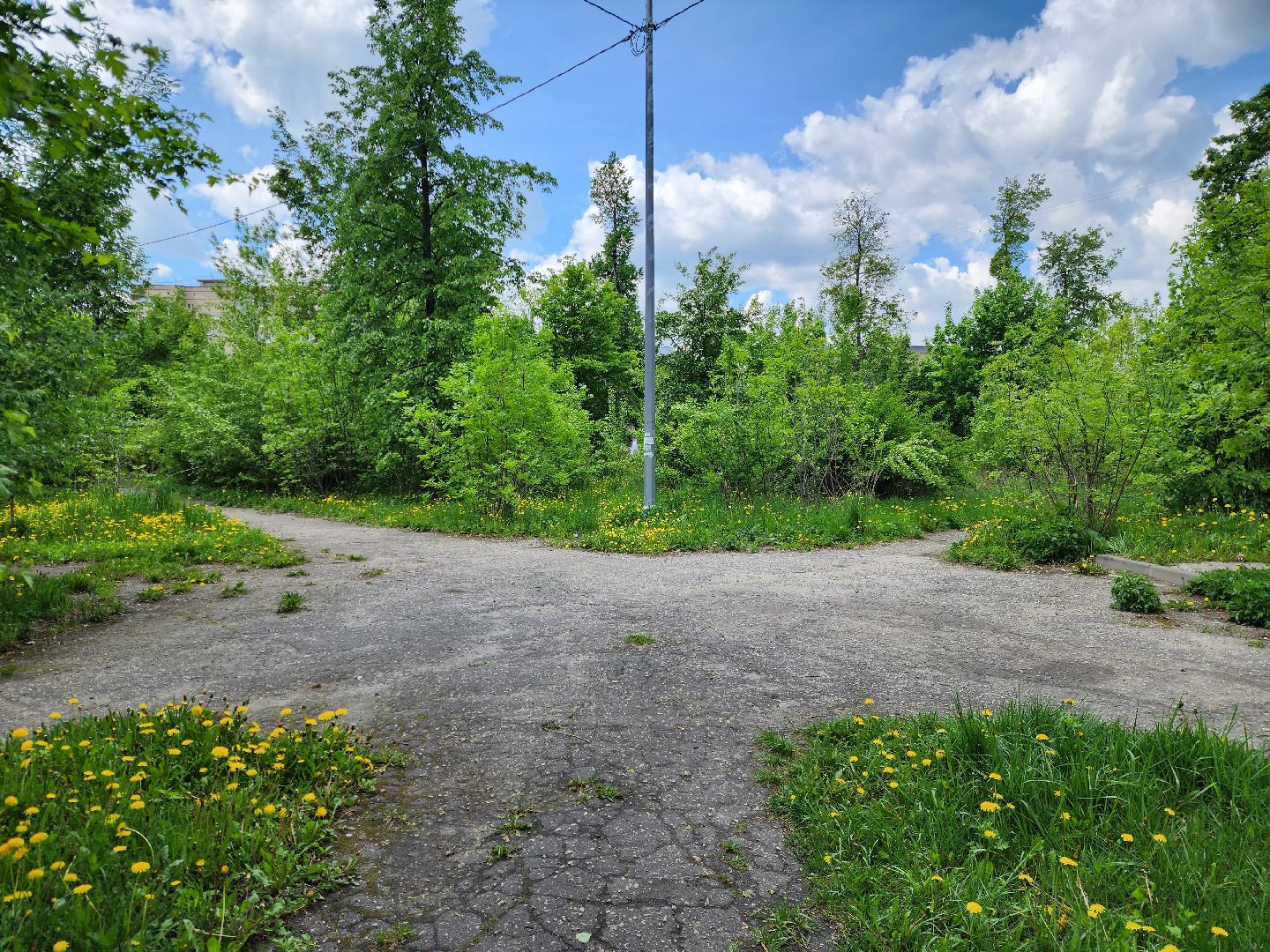 электросталь, голосование, благоустройство, сквер, жители,