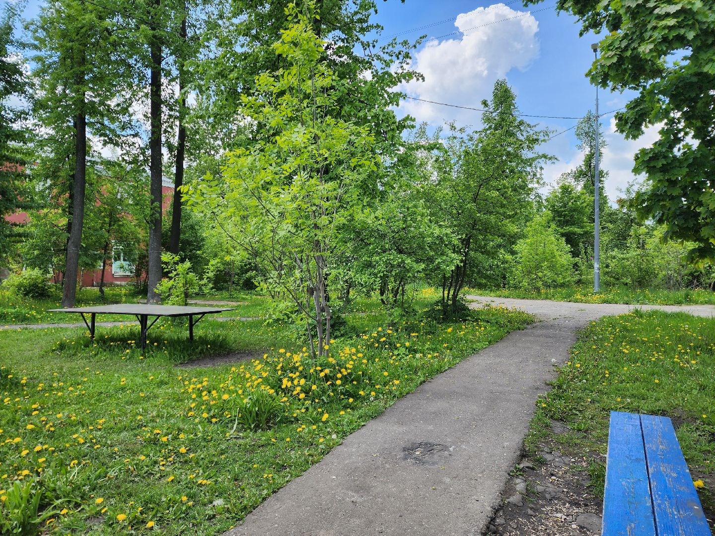 электросталь, голосование, благоустройство, сквер, жители,