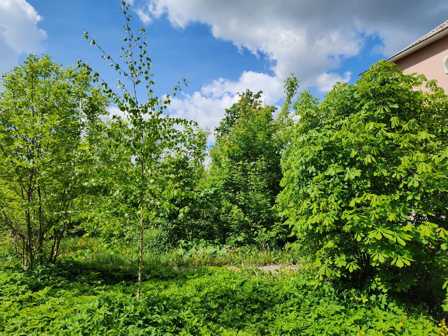 электросталь, голосование, благоустройство, сквер, жители,