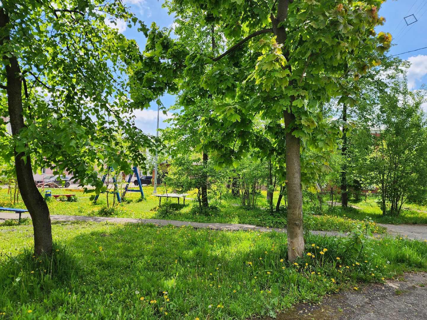 электросталь, голосование, благоустройство, сквер, жители,