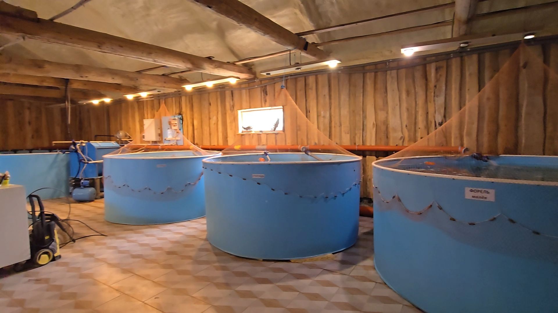 Коломна, экотуризм, разведение осетров,