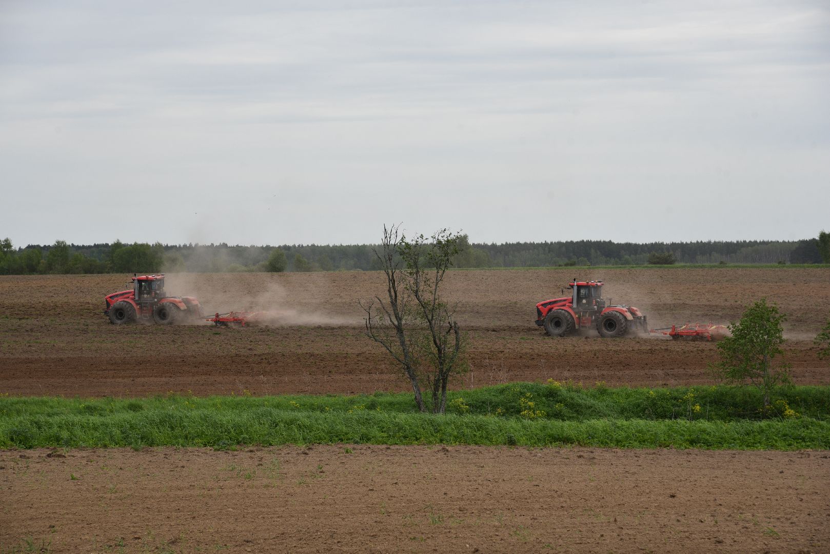 лотошино, сельское хозяйство, яровой сев,