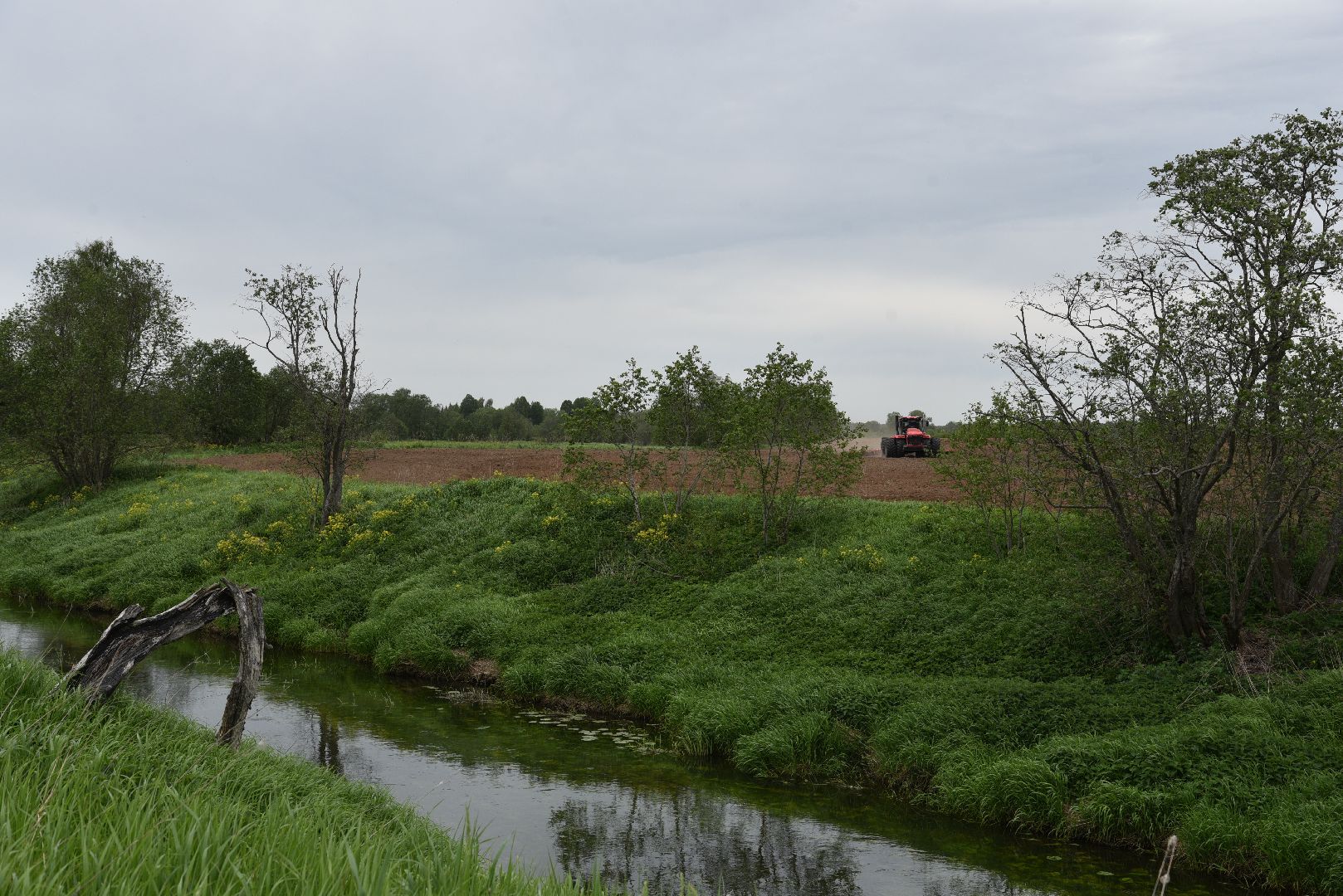 лотошино, сельское хозяйство, яровой сев,