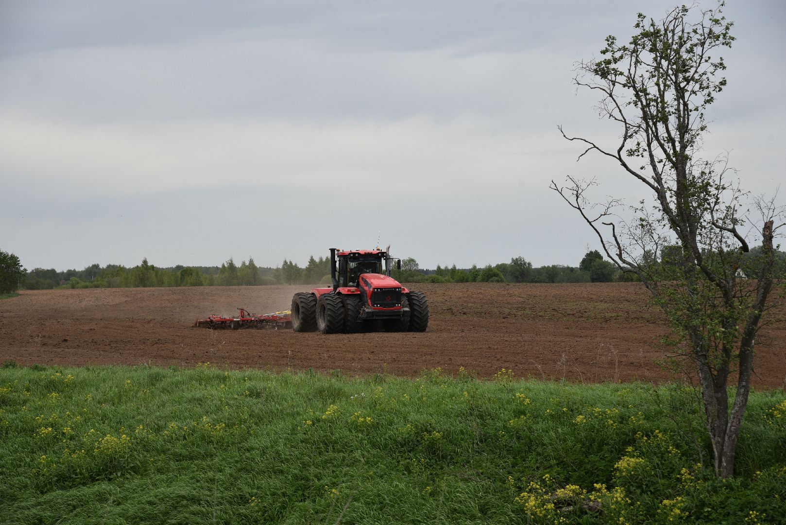 лотошино, сельское хозяйство, яровой сев,