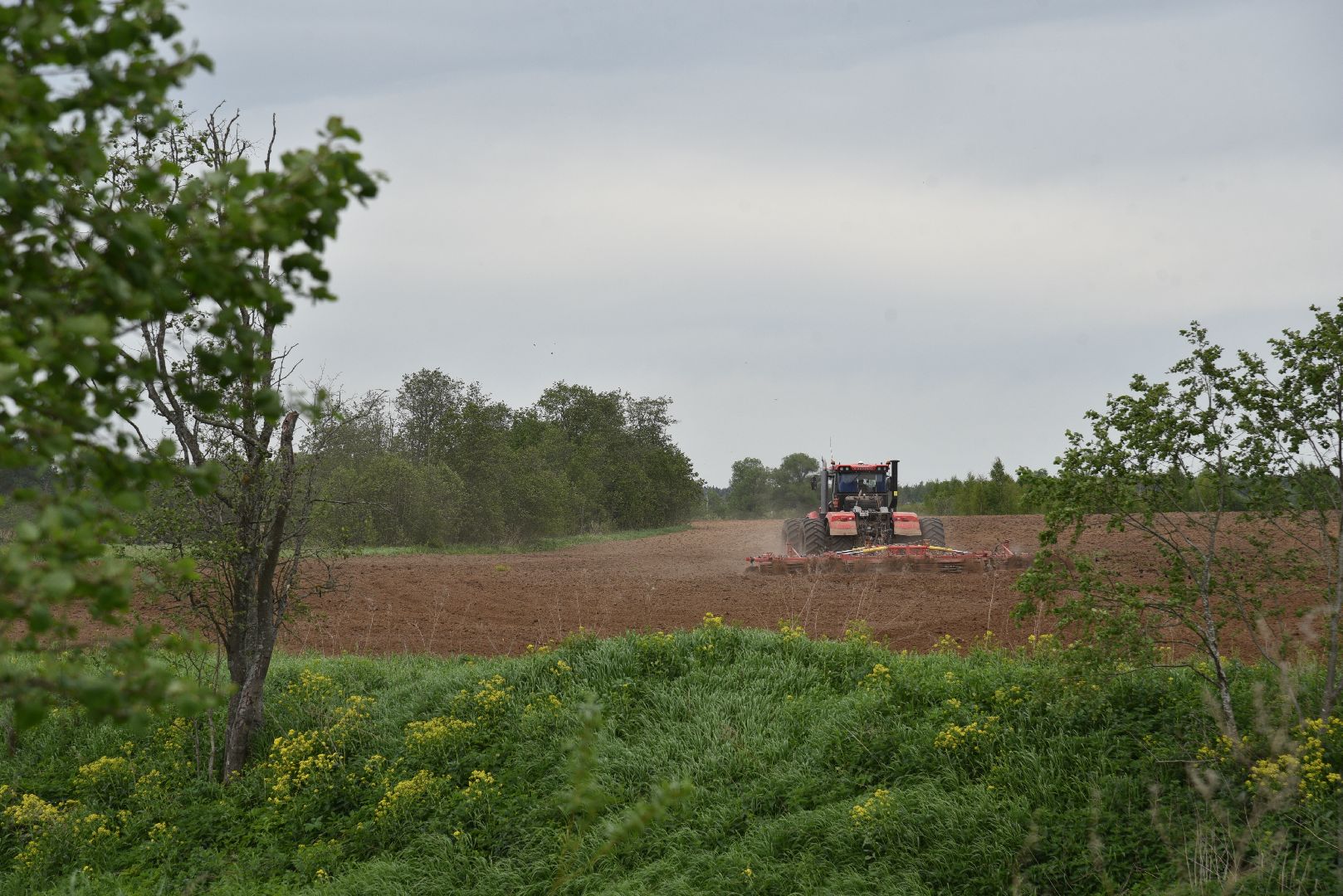 лотошино, сельское хозяйство, яровой сев,