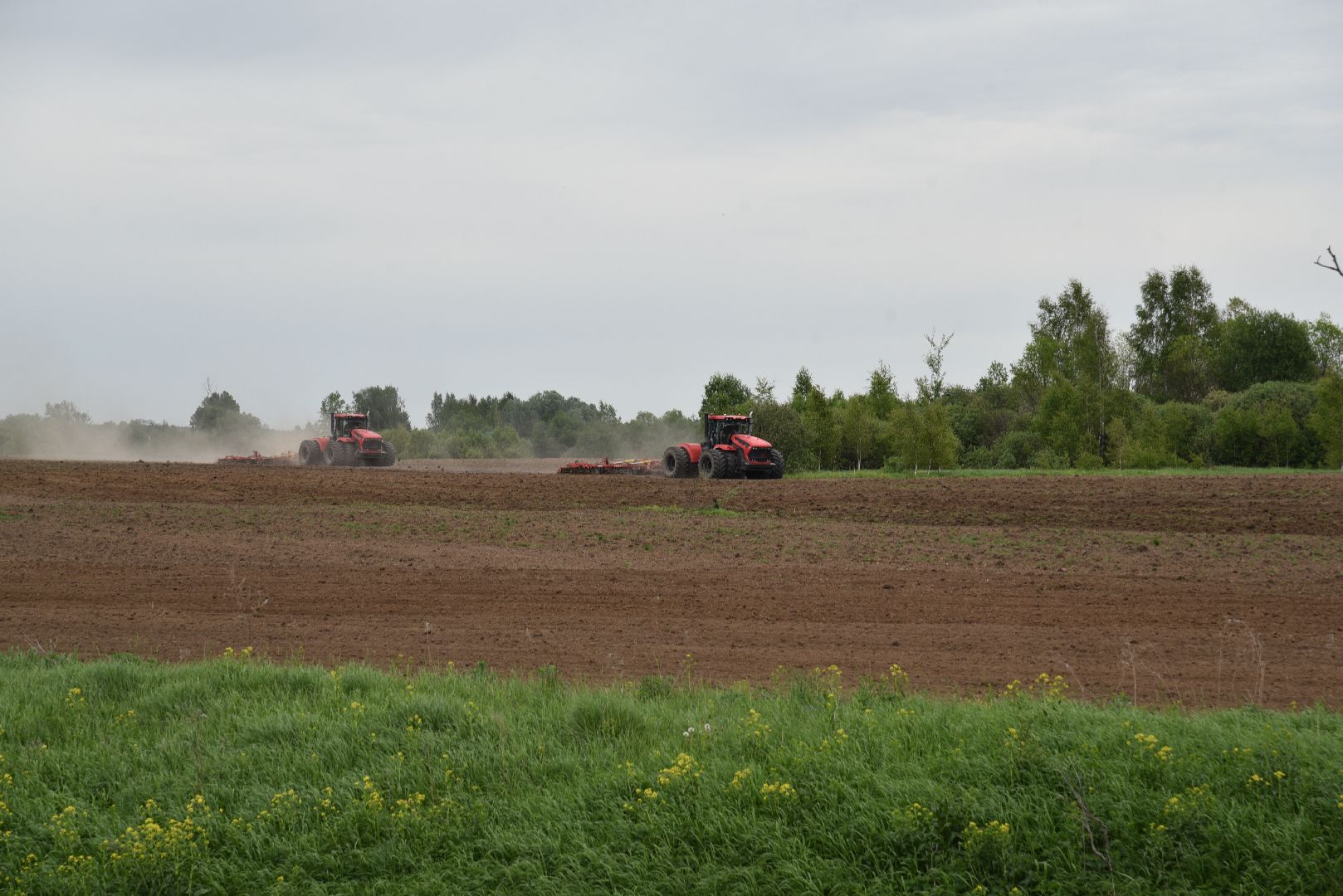 лотошино, сельское хозяйство, яровой сев,