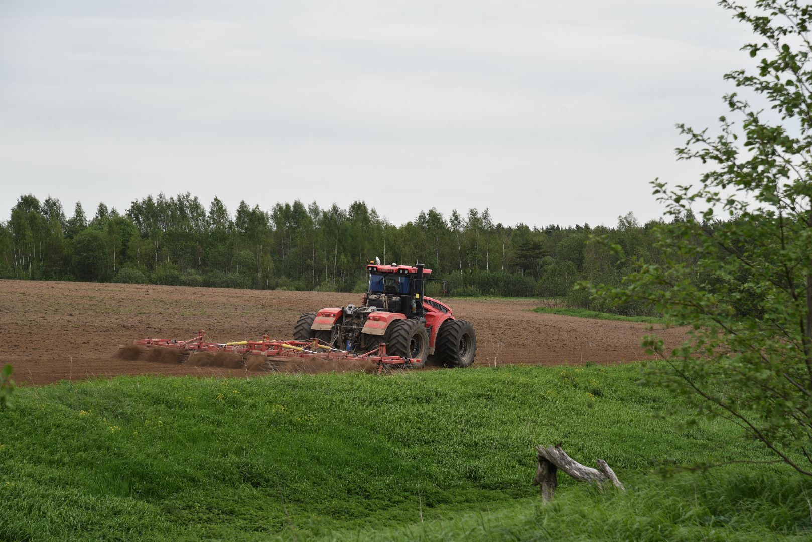 лотошино, сельское хозяйство, яровой сев,