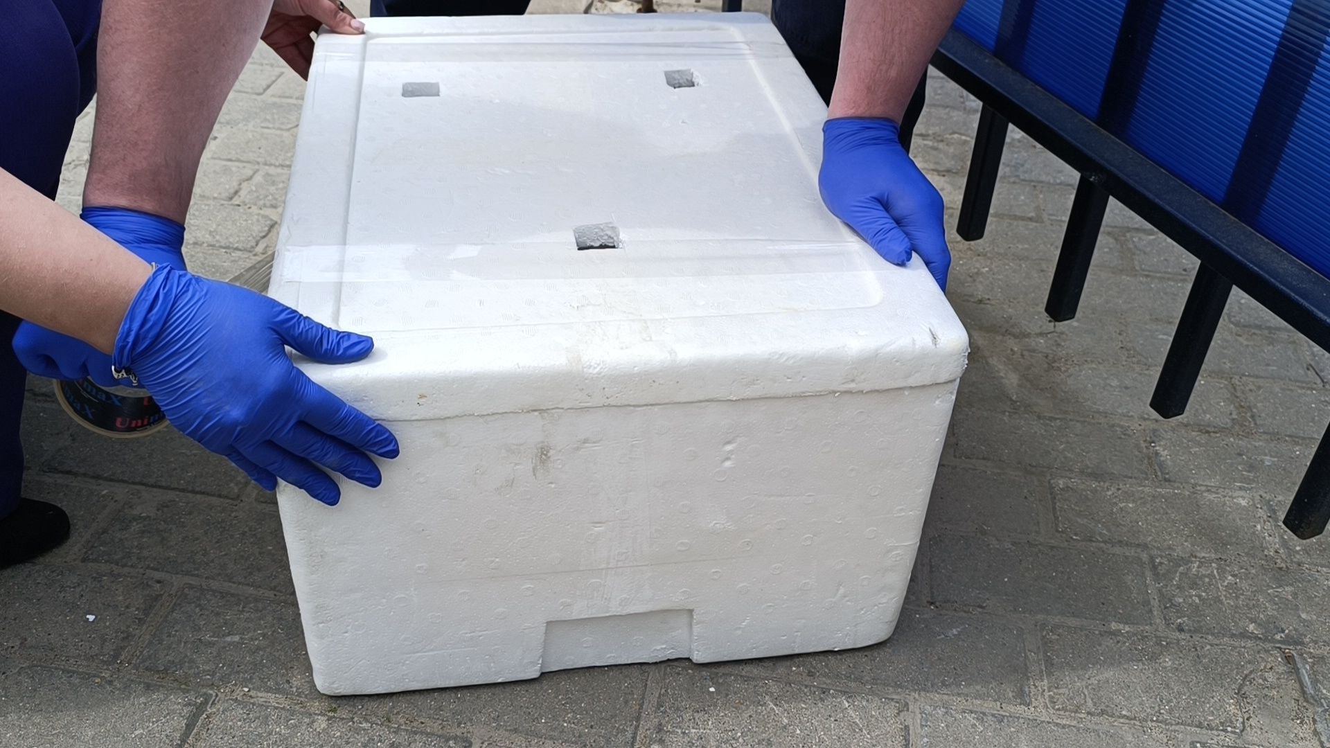 чайка, лобня, полиция,