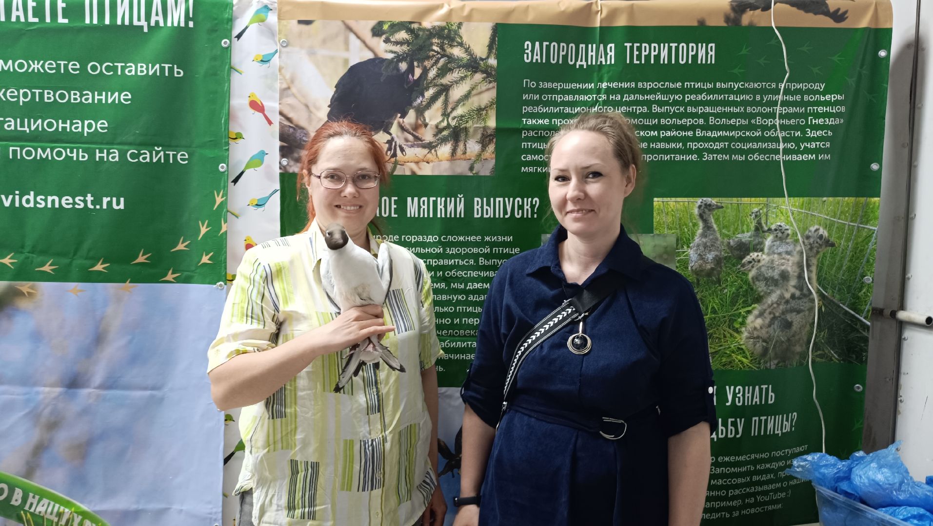 чайка, лобня, полиция,