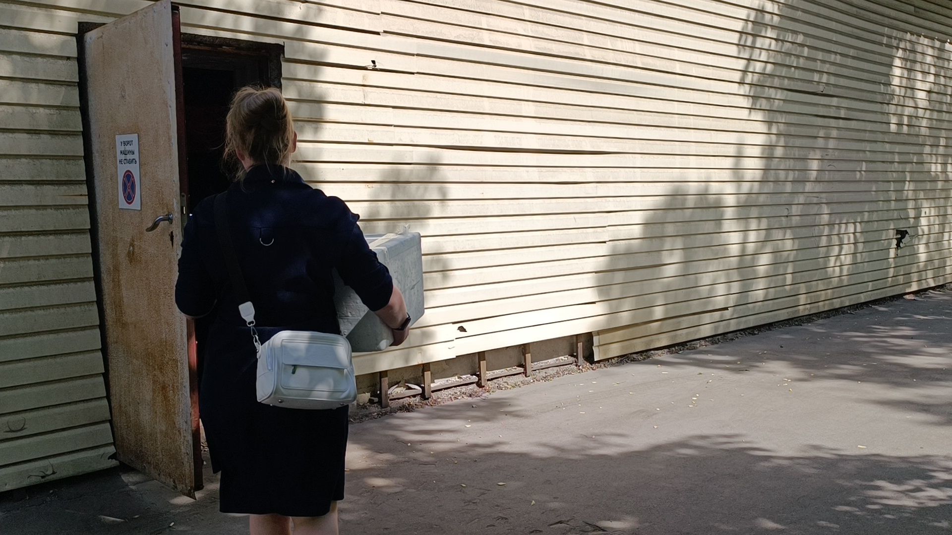 чайка, лобня, полиция,