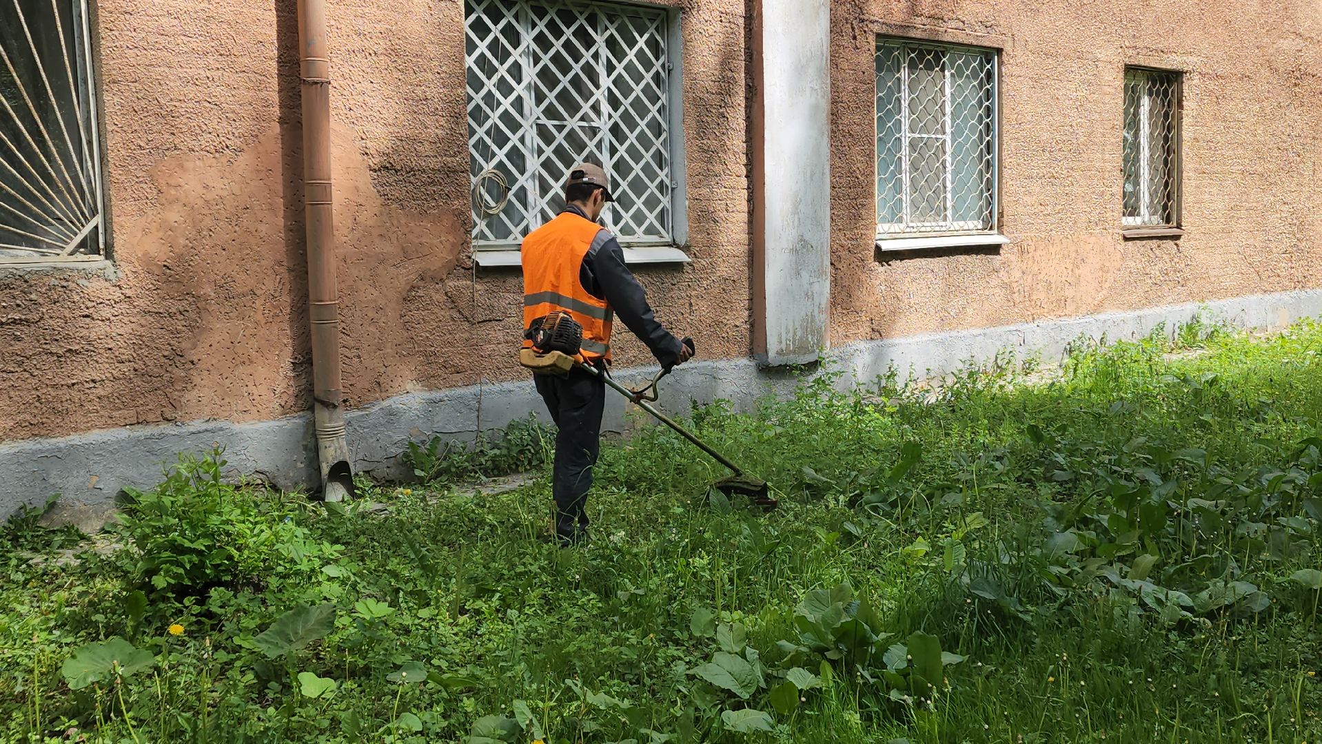 пушкино, покос травы, аварийное жилье, уборка территории, коммунальная служба, опиловка деревьев,