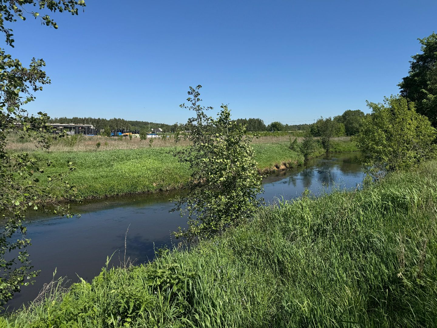 люберцы, красково, жители, выездная администиация, благоуствойство,