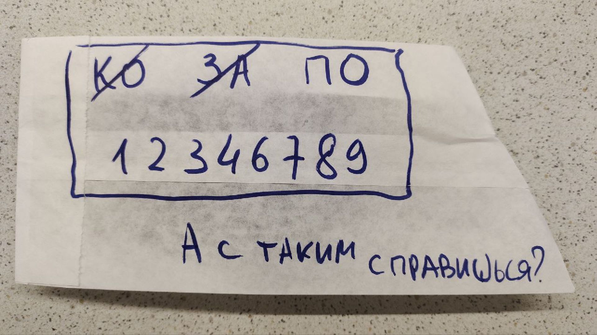 дубна, проект nica,  сергей мерц, блохинка,