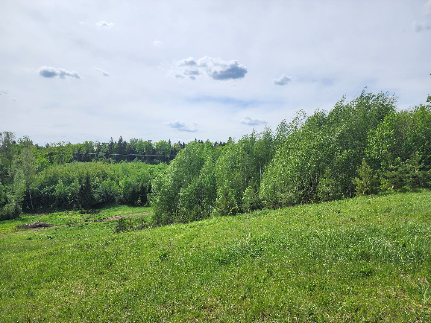 красноармейск, городской округ пушкинский, развитие бизнеса, центр здоровья, строительство,