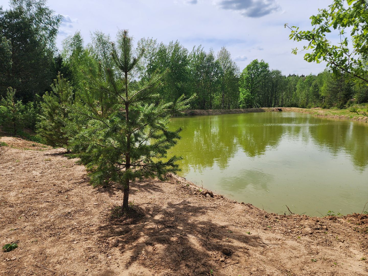 красноармейск, городской округ пушкинский, развитие бизнеса, центр здоровья, строительство,