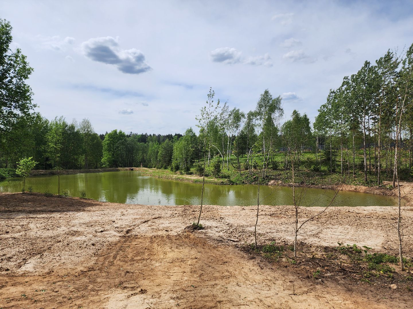 красноармейск, городской округ пушкинский, развитие бизнеса, центр здоровья, строительство,