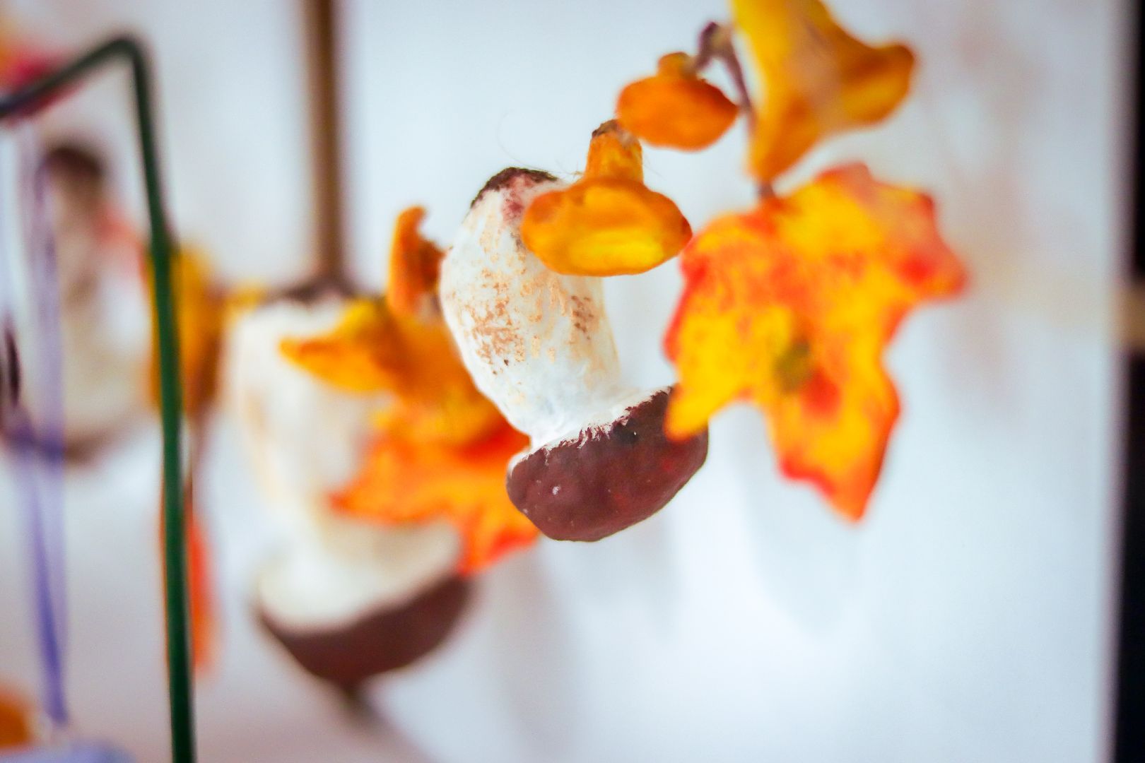 клин, общество, выставки, рукодельницы,