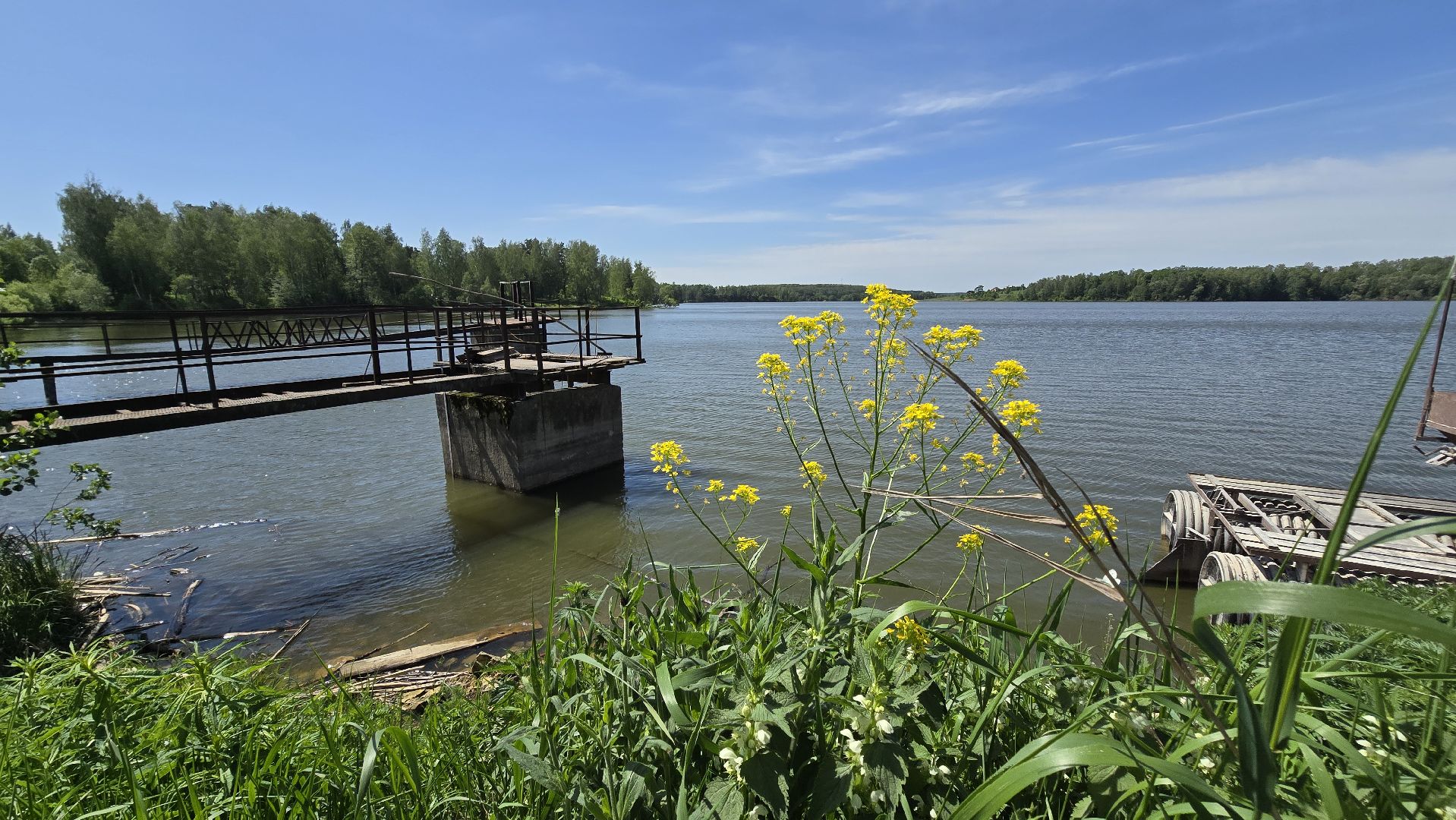 Коломна, рыбхоз, природный заповедник, краснокнижные животные,