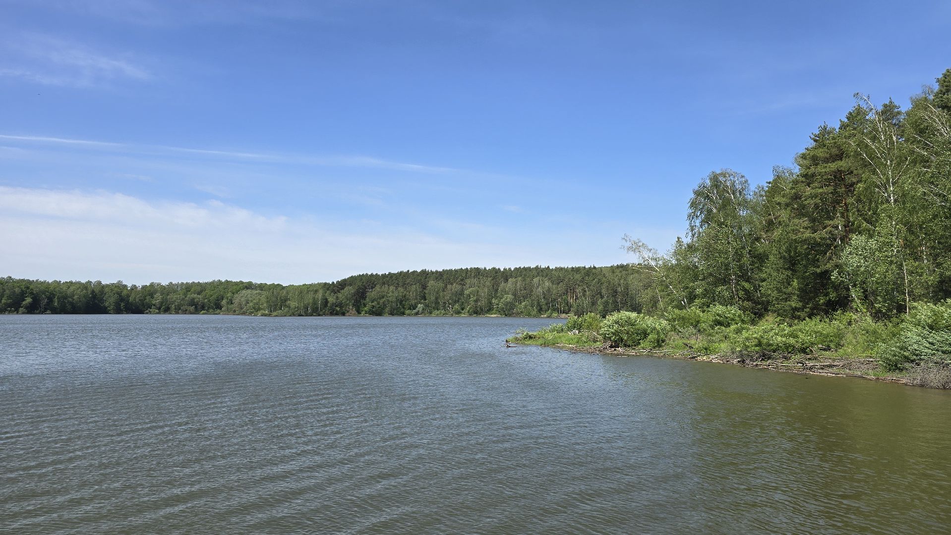 Коломна, рыбхоз, природный заповедник, краснокнижные животные,