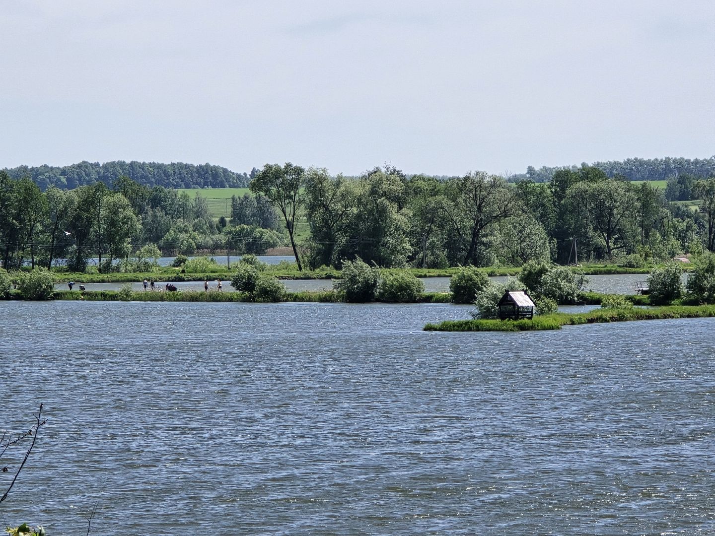Коломна, рыбхоз, природный заповедник, краснокнижные животные,