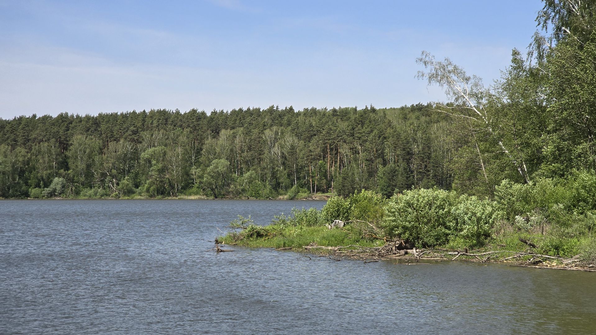 Коломна, рыбхоз, природный заповедник, краснокнижные животные,