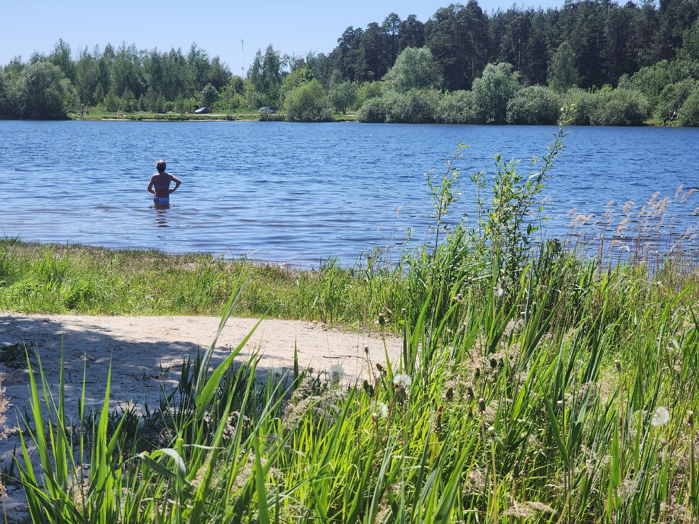 купальный сезон, орехово-зуевский округ,