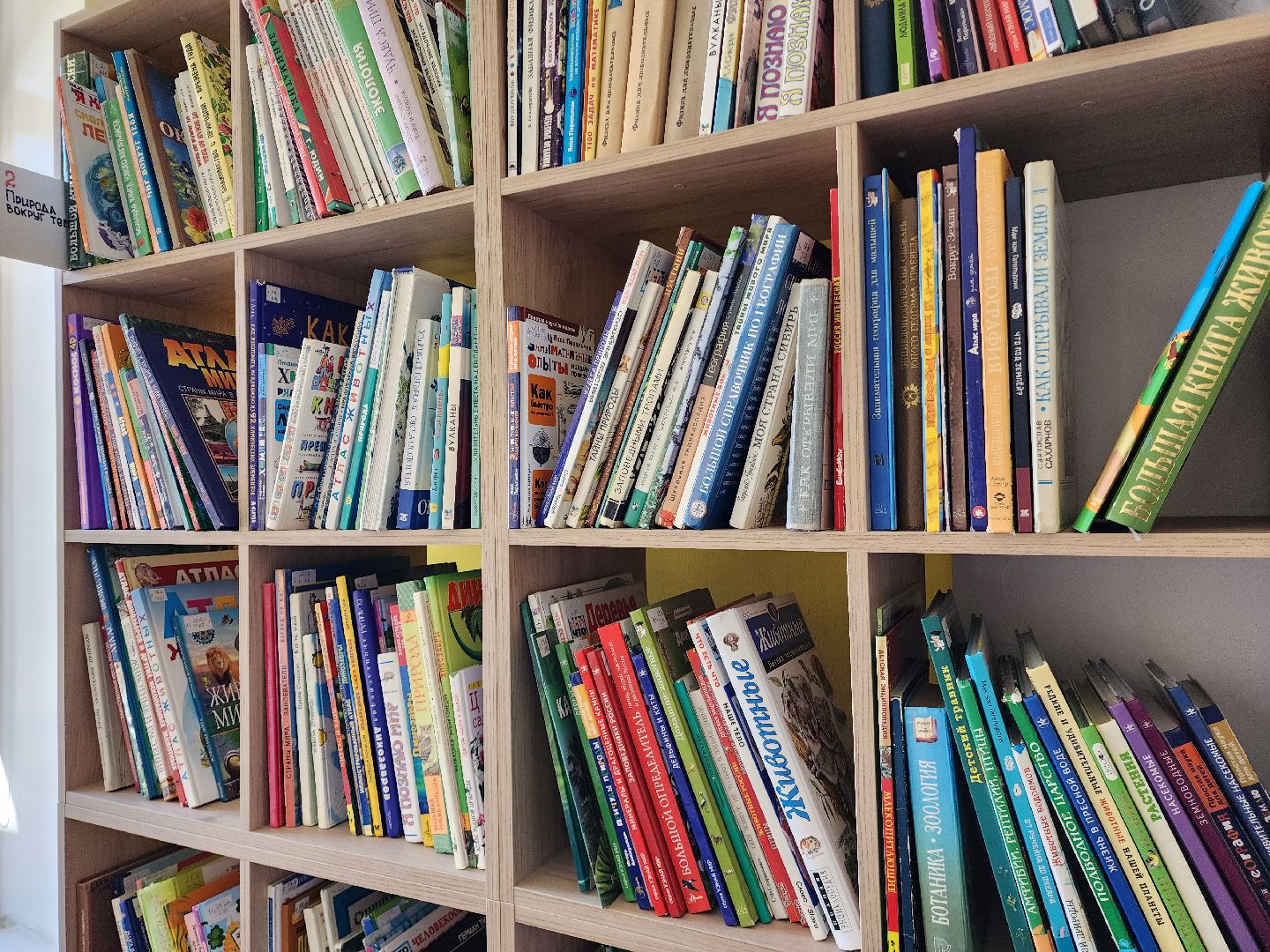 культура подмосковья, библиотеки подмосковья, шатурская библиотека,чтение книг,