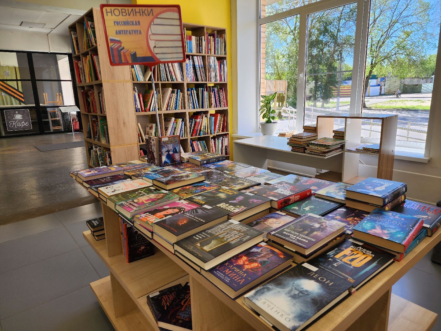 культура подмосковья, библиотеки подмосковья, шатурская библиотека,чтение книг,