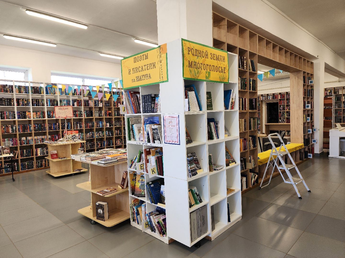 культура подмосковья, библиотеки подмосковья, шатурская библиотека,чтение книг,