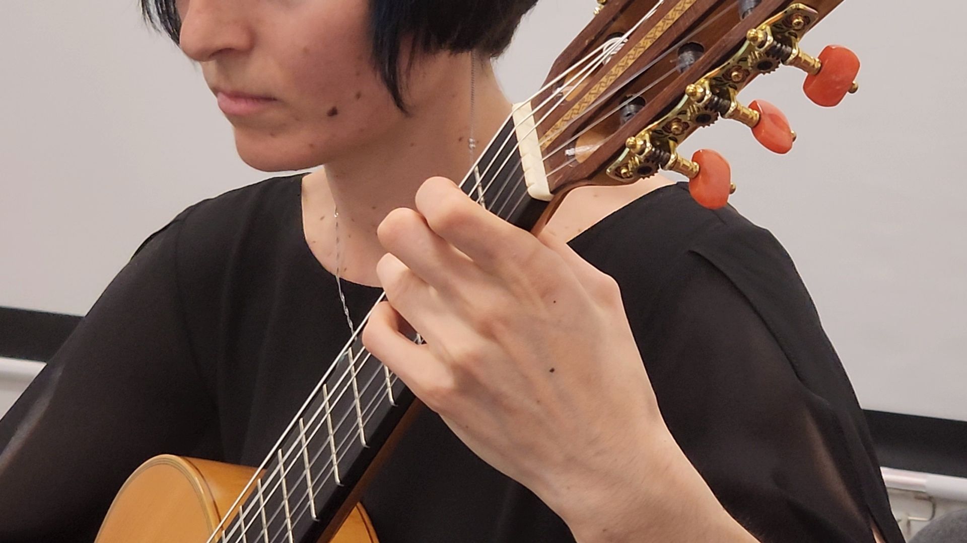 Черноголовка , Концерт, Классическая музыка,