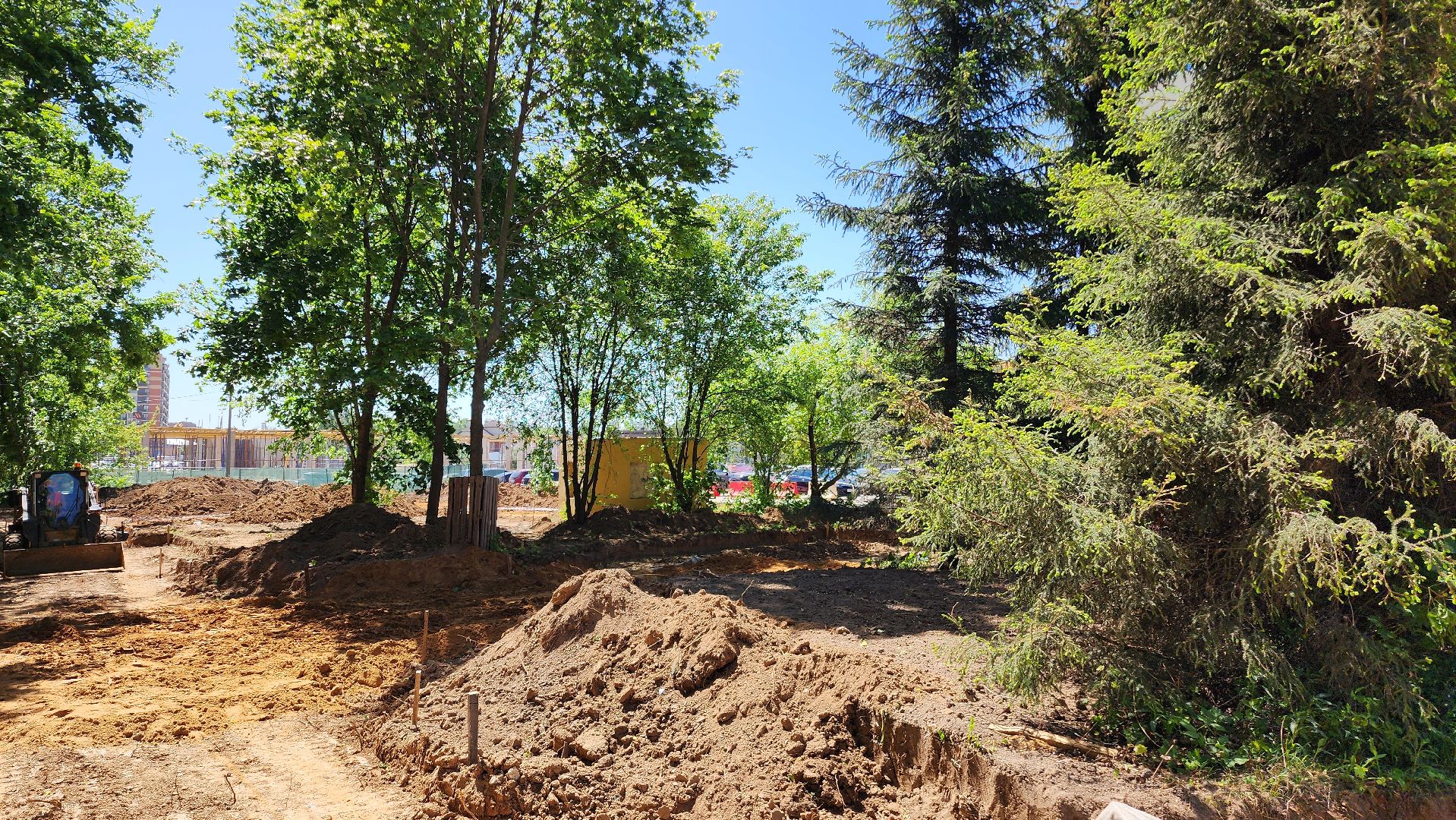 сквер, домодедово, дети, культура, спорт, отдых, досуг,