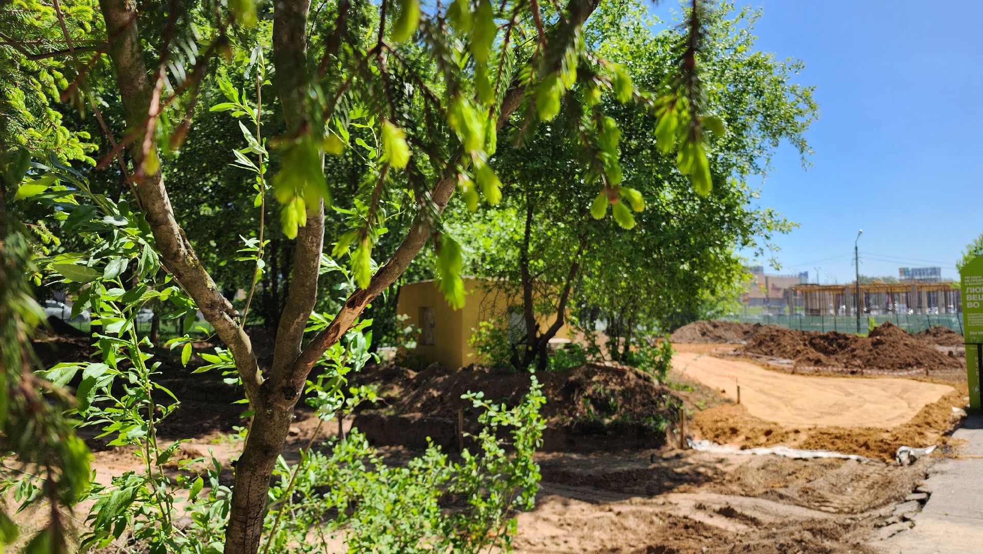 сквер, домодедово, дети, культура, спорт, отдых, досуг,