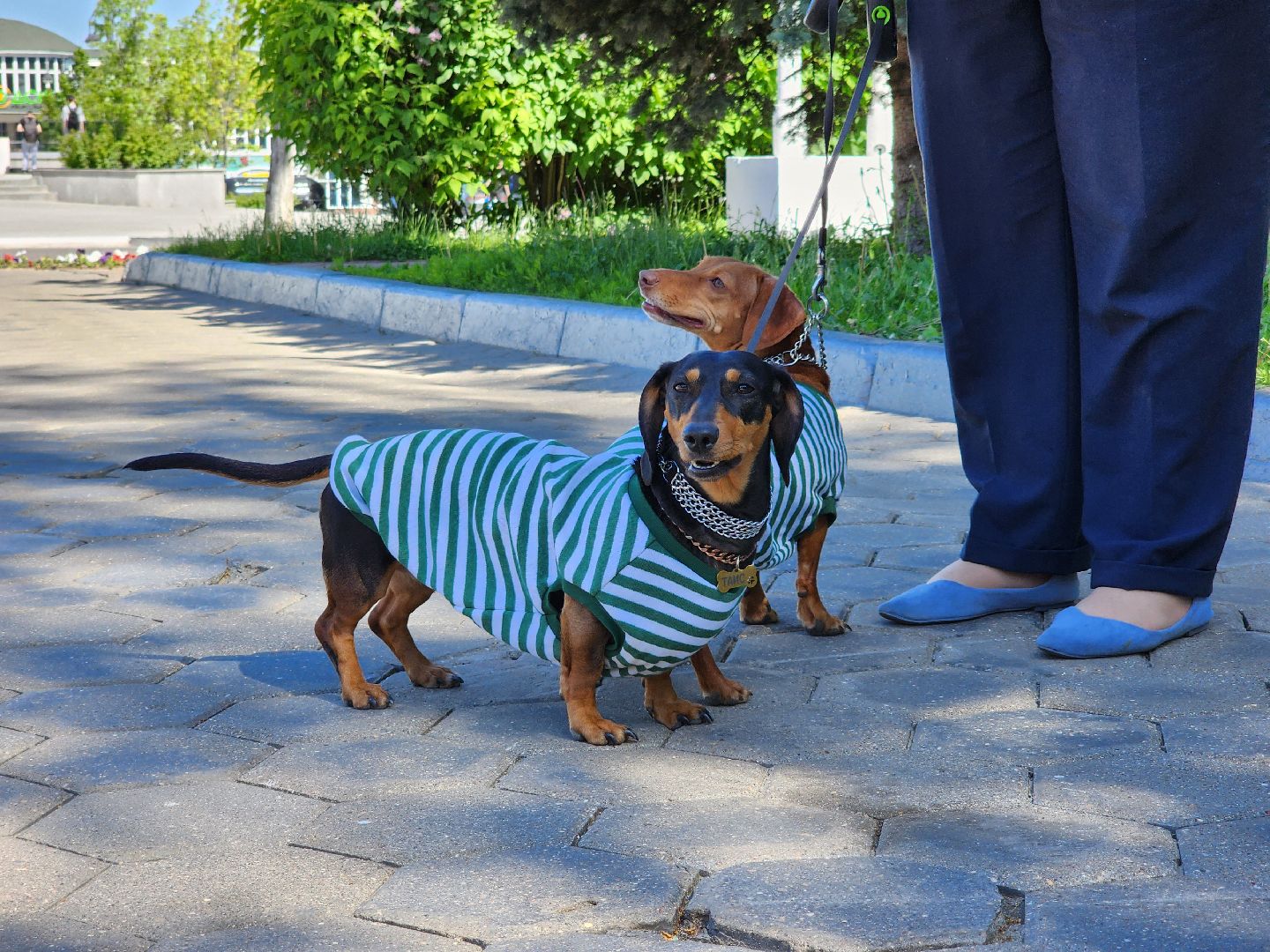 день пограничника,  погранвойска, площадь победы, ногинск, богородский городской округ,