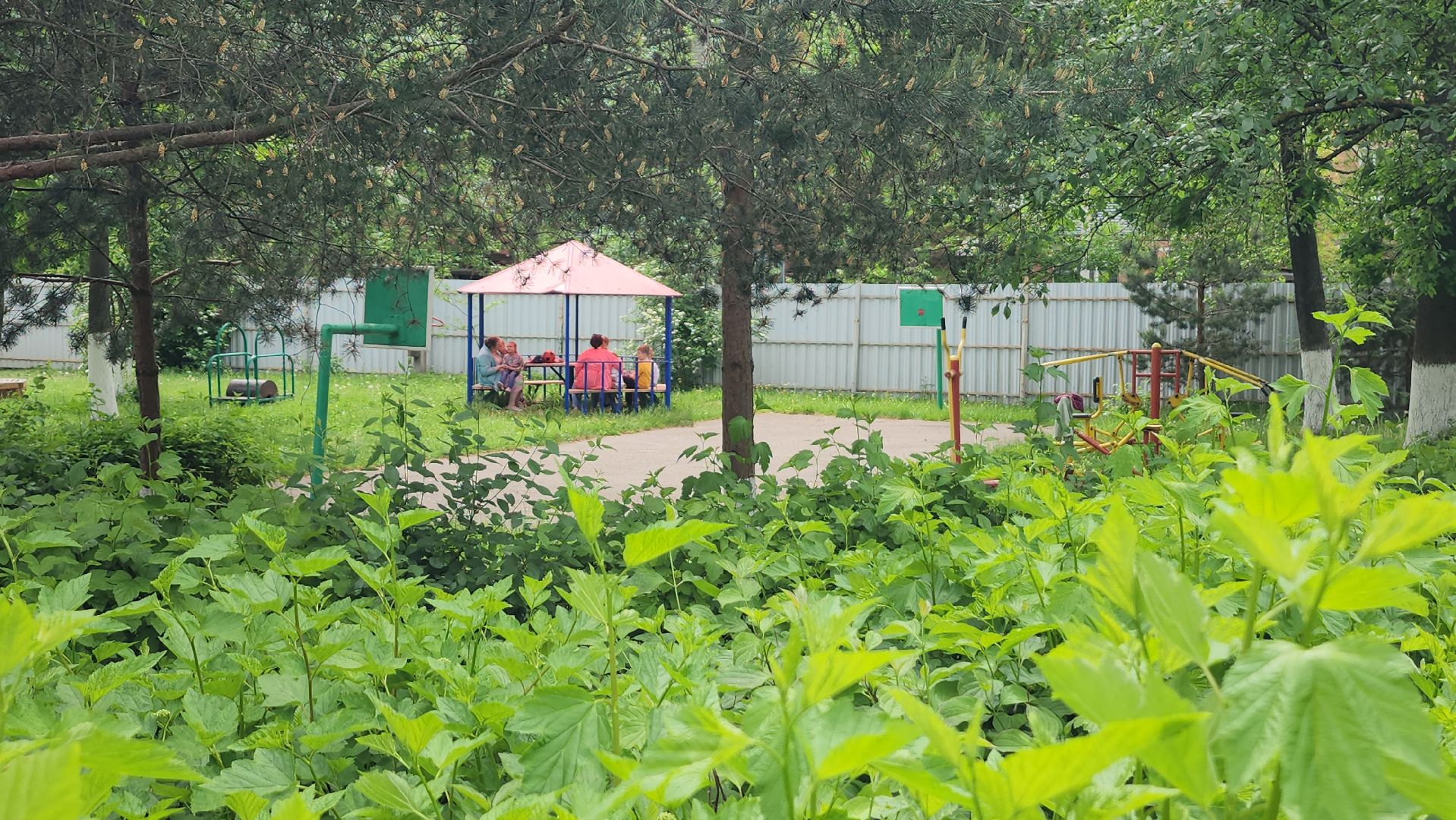 серпухов, дети-инвалиды, дети с овз, летний заезд , социально-реабилитационный центр Серпуховский, улица лермонтова,