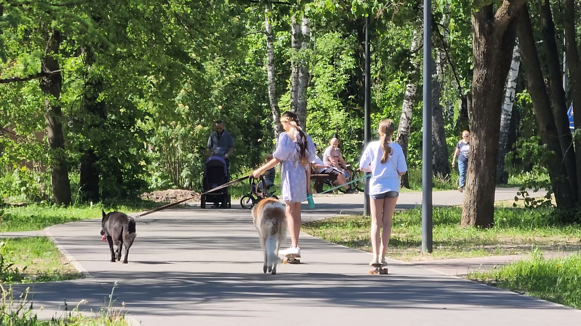 Черноголовка, Места для отдыха, туризм в подмосковье,