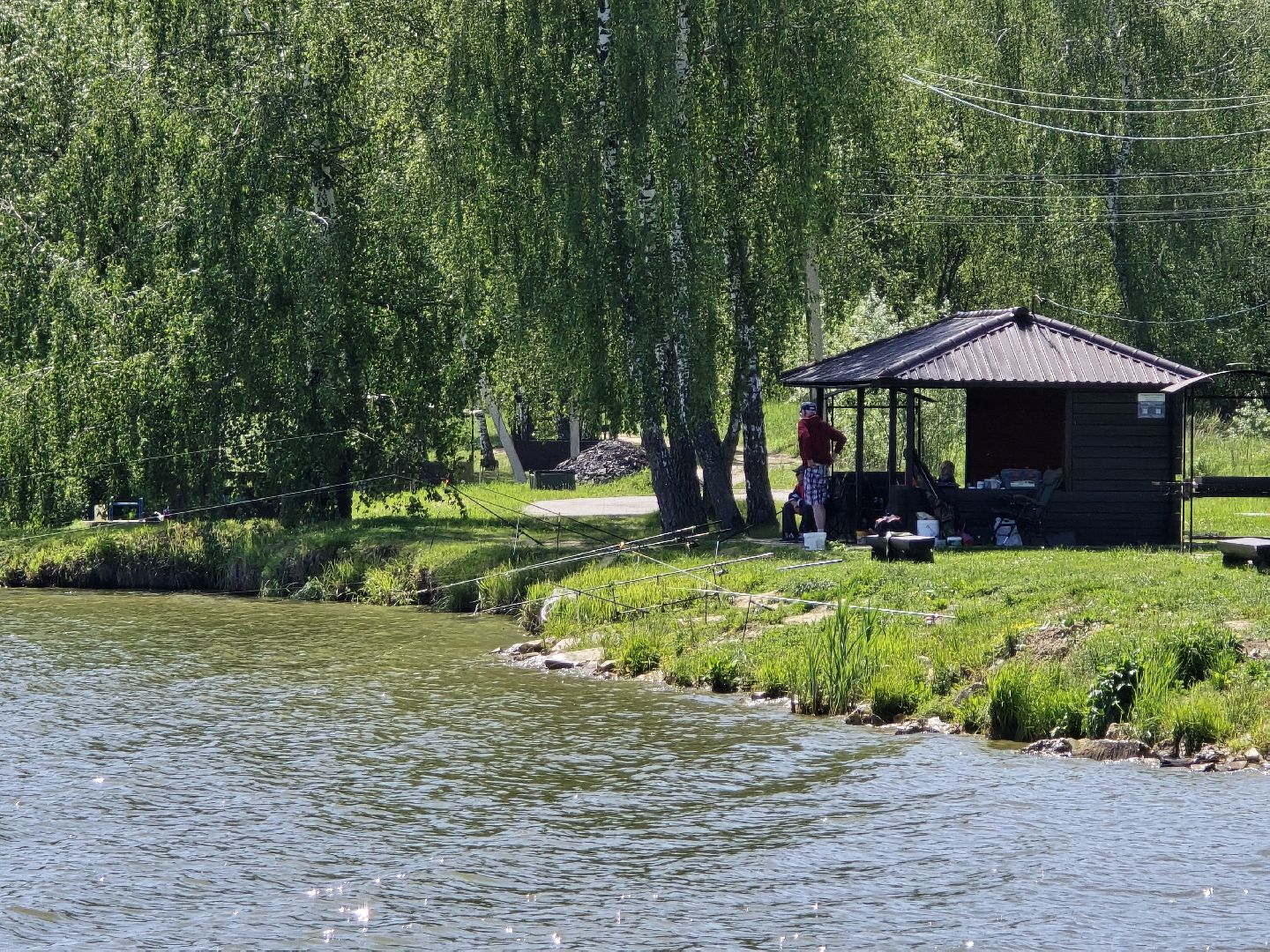 Коломна, рыбхоз, рыбалка, зона отдыха,