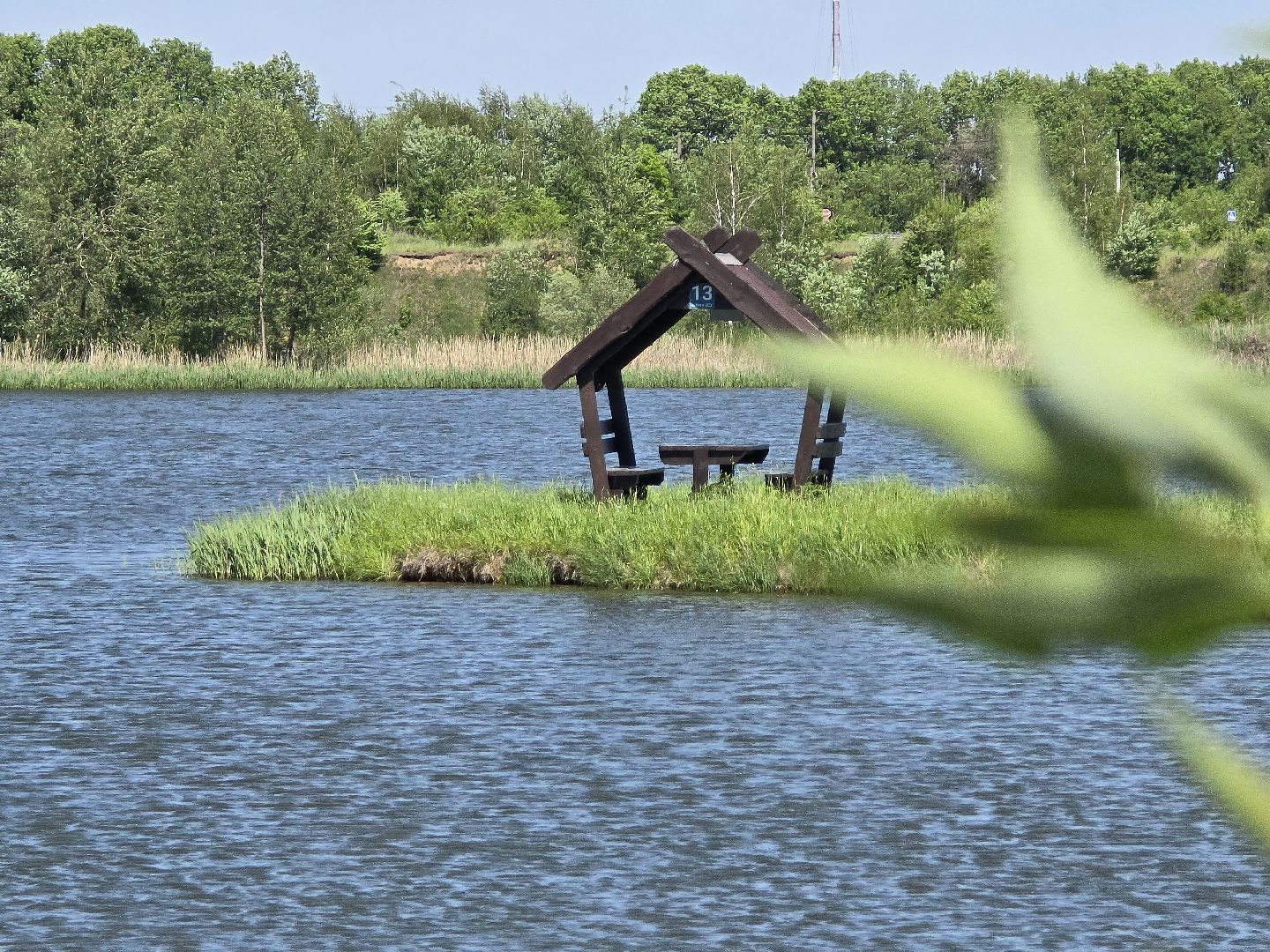 Коломна, рыбхоз, рыбалка, зона отдыха,