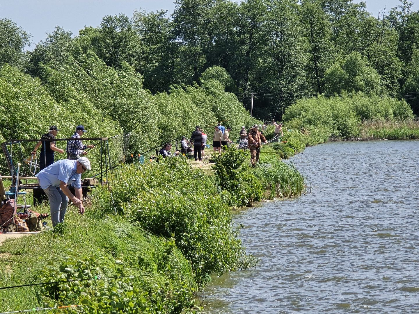 Коломна, рыбхоз, рыбалка, зона отдыха,